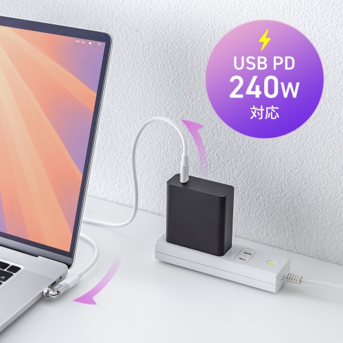 AD-USB34CCFW / USB2.0 Type-Cアダプタ(540度回転・240W・ホワイト)