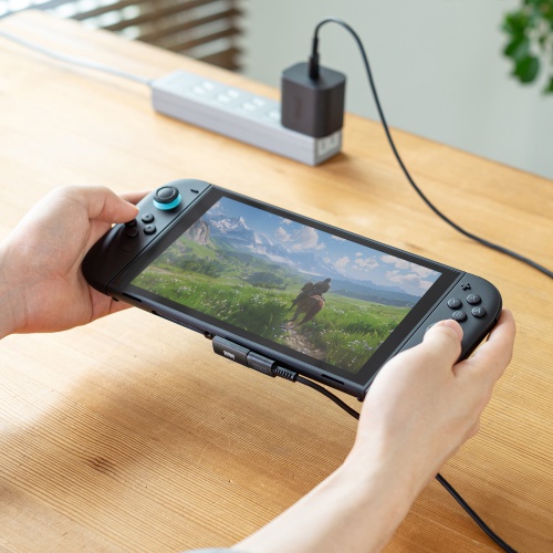 AD-USB36CCFLT / Type-C変換アダプタ(CtoC・L字縦挿し・40Gbps・240W)