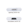 AD-USBLT20W / ライトニング-microUSBアダプタ（ホワイト）