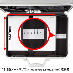 BAG-ABS5N2