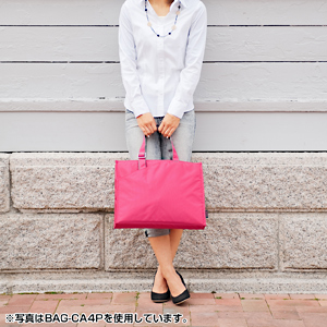 BAG-CA4BR