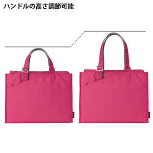 BAG-CA4P