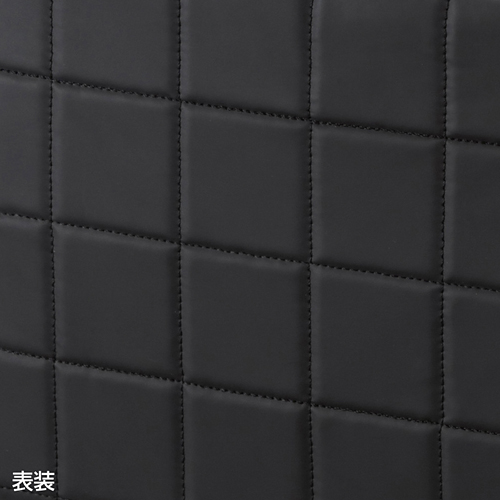 BAG-P20BK / 衝撃吸収PCケース（16.4インチワイド）