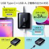 BTL-RDC20BK / モバイルバッテリー（USB Type-C対応・10000mAh）
