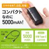 BTL-RDC21BK モバイルバッテリー(USB Type-C対応・5000mAh) BTL-RDC21BK / モバイルバッテリー(USB Type-C対応・5000mAh)
