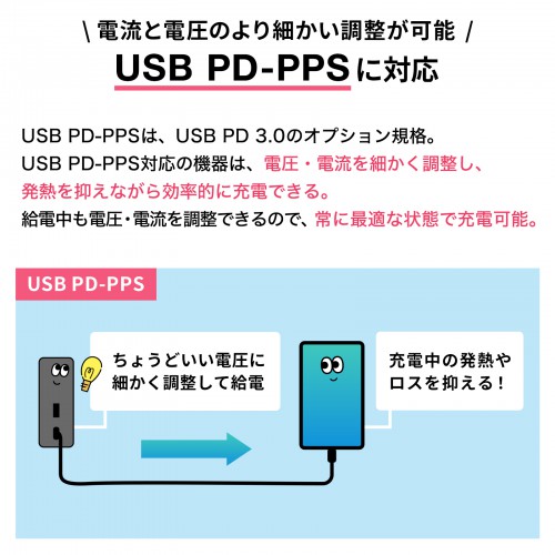 BTL-RDC24 / USB Power Delivery対応モバイルバッテリー（PD60W）