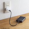 BTL-RDC27BK モバイルバッテリー(10000mAh・PD20W・ブラック) BTL-RDC27BK / モバイルバッテリー(10000mAh・PD20W・ブラック)