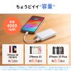 BTL-RDC35W モバイルバッテリー(4000mAh) BTL-RDC35W / モバイルバッテリー(4000mAh)