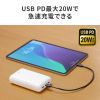 BTL-RDC39 / モバイルバッテリー（20000mAh・PD20W）