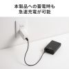 BTL-RDC44BK モバイルバッテリー(10000mAh・PD20W) BTL-RDC44BK / モバイルバッテリー(10000mAh・PD20W)