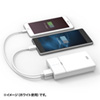 BTL-RDC8BK モバイルバッテリー(8700mAh・ブラック) BTL-RDC8BK / モバイルバッテリー(8700mAh・ブラック)