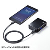 BTL-RDC9BK モバイルバッテリー(デジタル電池残量表示・5200mAh・ブラック) BTL-RDC9BK / モバイルバッテリー(デジタル電池残量表示・5200mAh・ブラック)