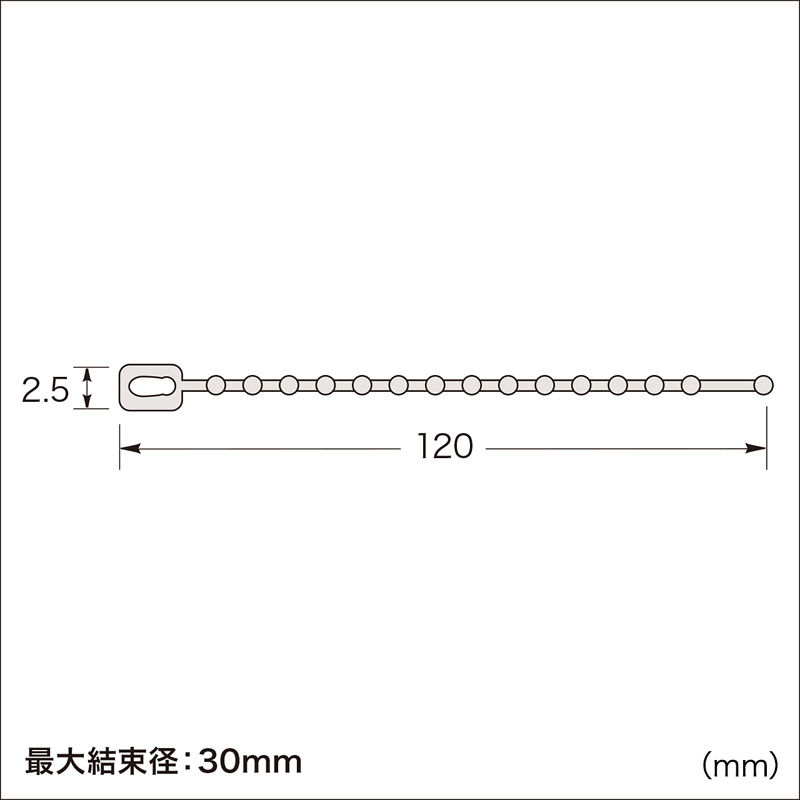 寸法図