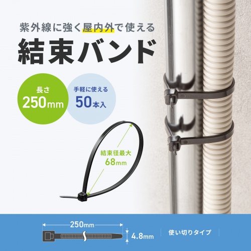CA-624UV / 結束バンド（屋外用・耐候性・長さ250mm・幅4.8mm・50本入り）