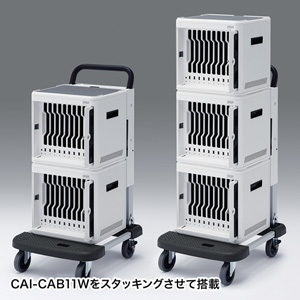 CAI-CABCT1