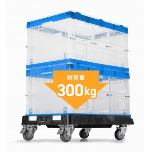 CART-FA1175BK
