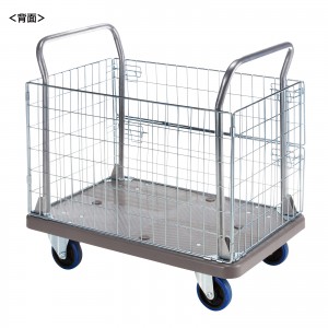 CART-FA13GY