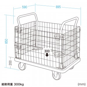 CART-FA13GY