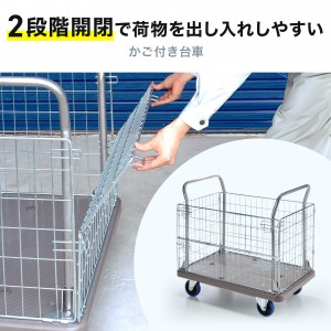 CART-FA13GY