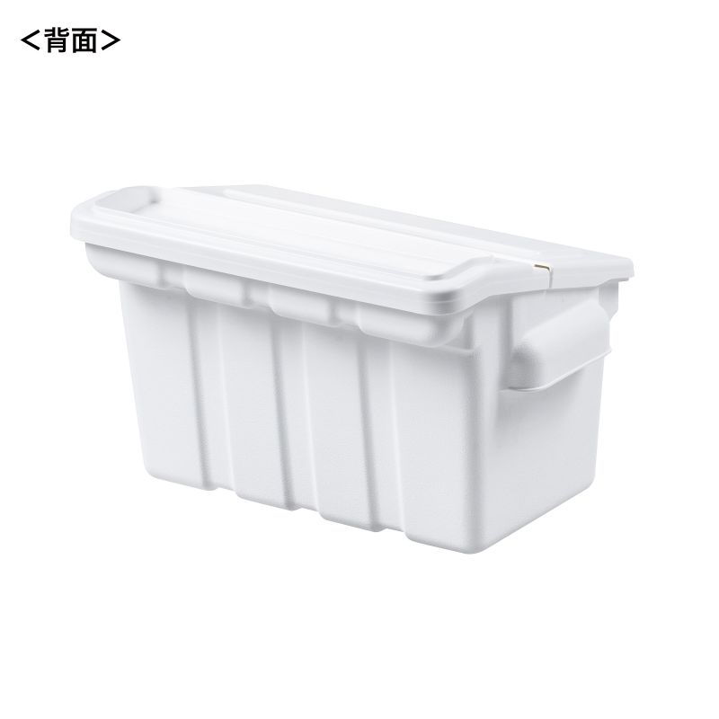 背面