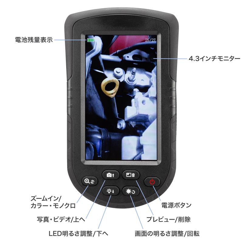 特長