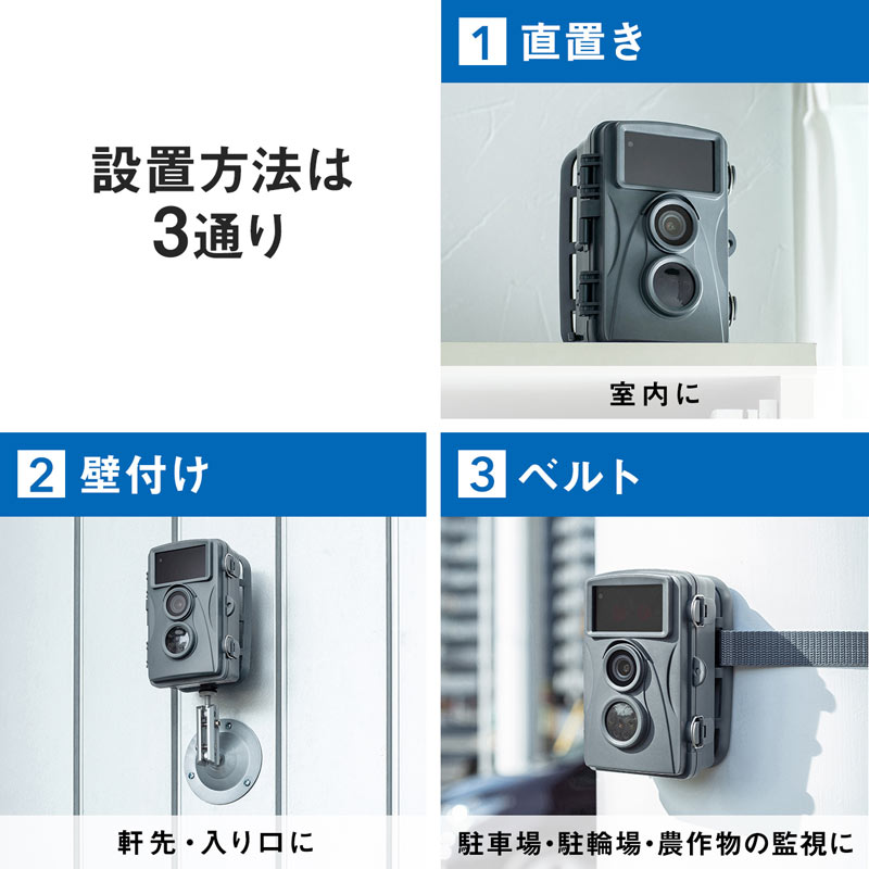 ピックアップ