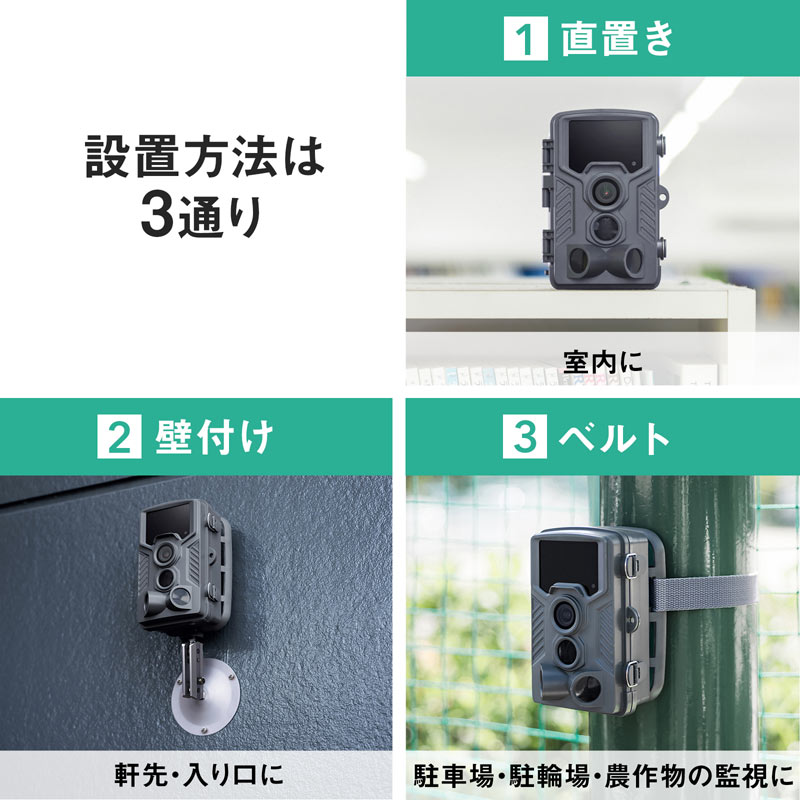 ピックアップ