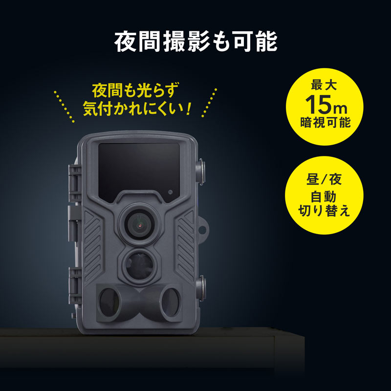 ピックアップ
