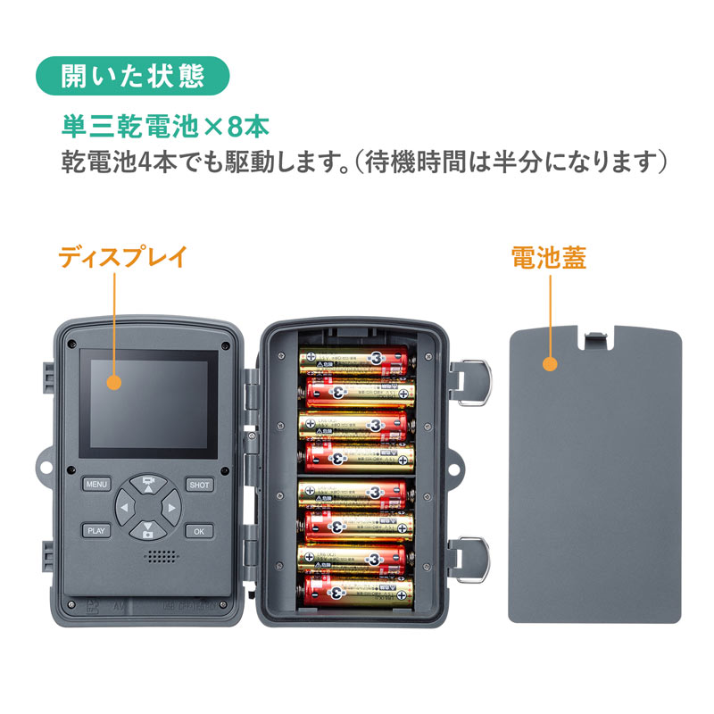 ピックアップ