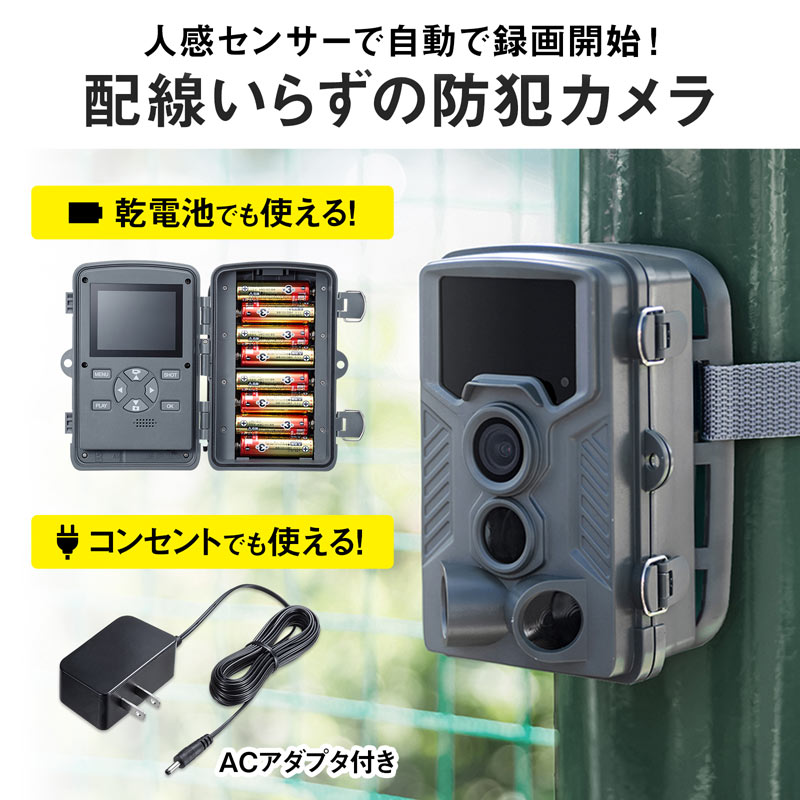 ピックアップ