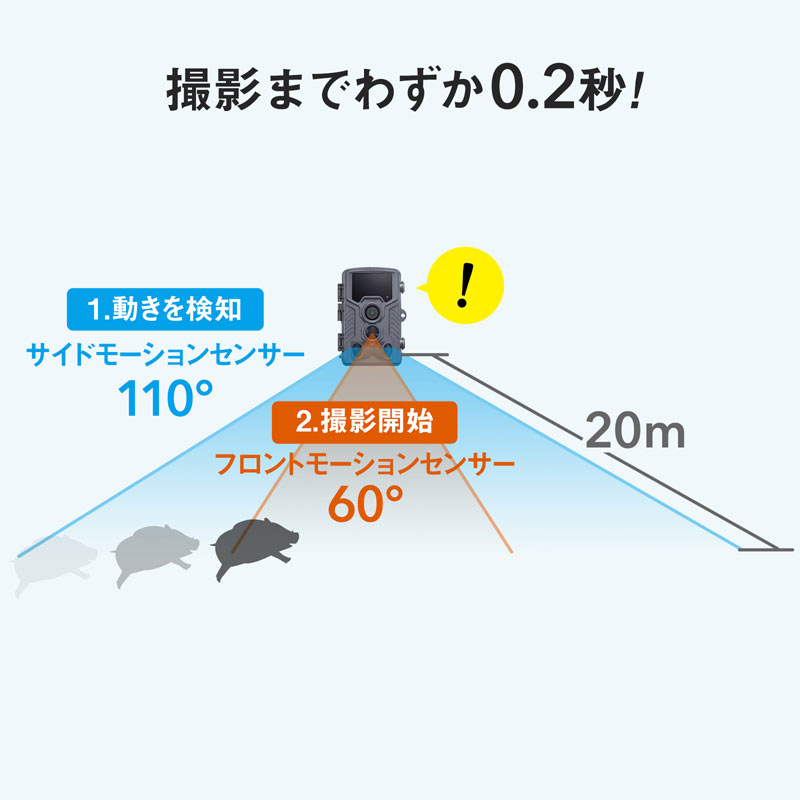 ピックアップ