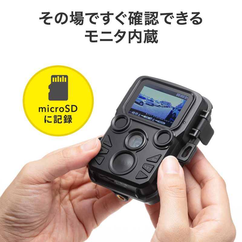 ピックアップ