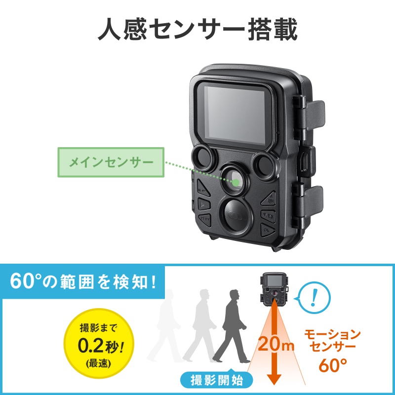 ピックアップ