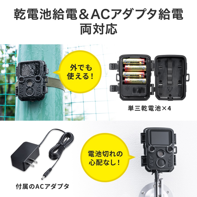 ピックアップ