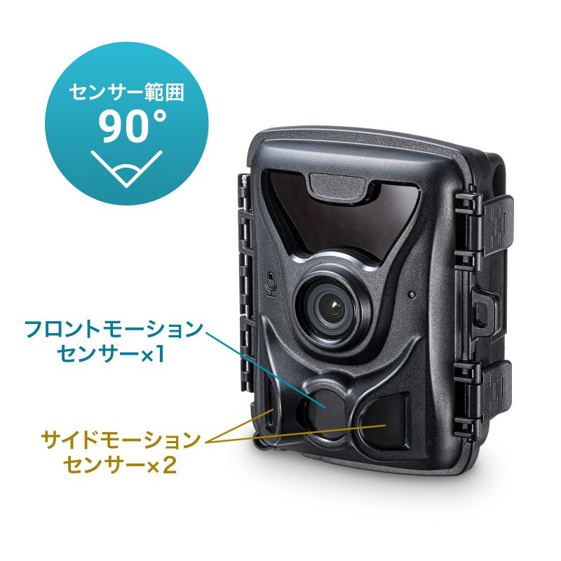 ピックアップ