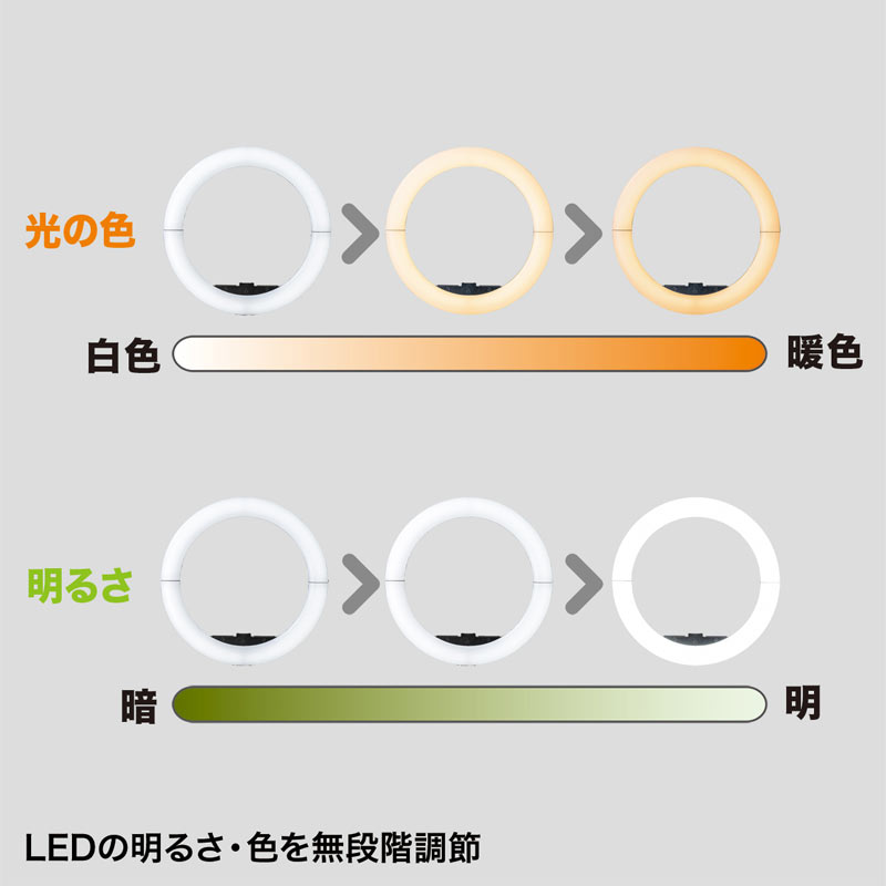特長