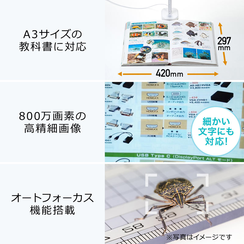 ピックアップ