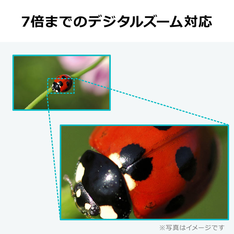 ピックアップ