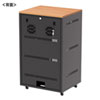 CP-SBOX6010 / 扉付き機器収納ボックス(W600・H1000・木目天板)