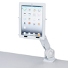 CR-LAIPAD3W / iPadホルダー縦用（ホワイト)