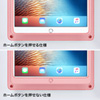 CR-LAIPAD9 / 12.9インチiPad Pro用VESA対応アクリルケース