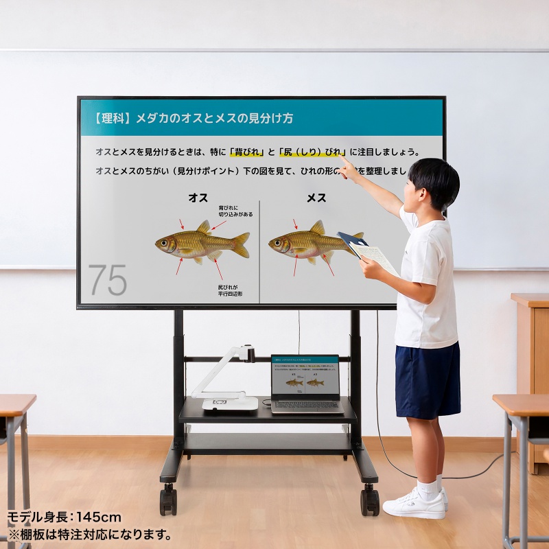 特長