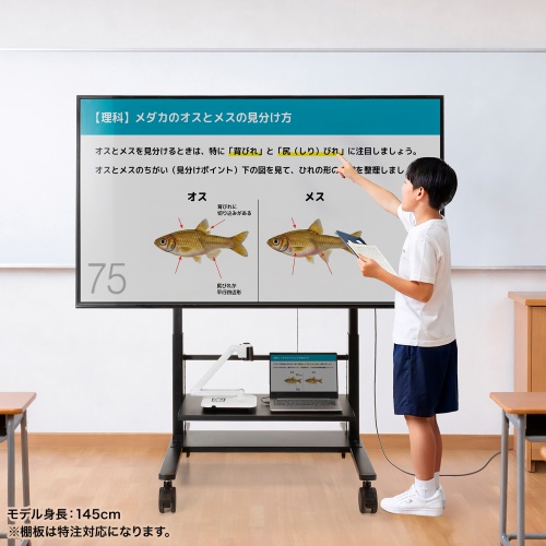 CR-PL68BK / 60～100型対応高耐荷重電動上下昇降ディスプレイスタンド