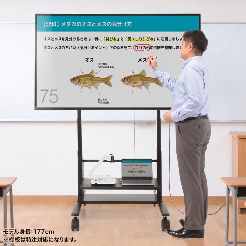 CR-PL68BK / 60～100型対応高耐荷重電動上下昇降ディスプレイスタンド