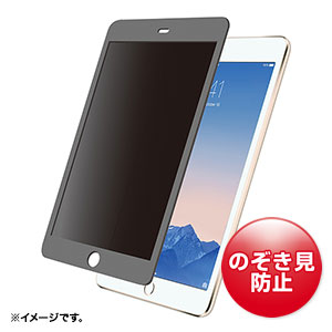 CRT-PFIPABK / 脱着式のぞき見防止フィルター(iPad Air2/Air用)