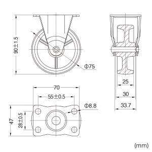 CST-75N-FIX2