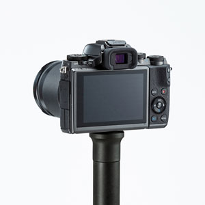 DG-CAM24