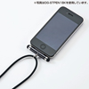 DG-STPEN1SV タッチペン付iPhoneネックストラップ(シルバー) DG-STPEN1SV / タッチペン付iPhoneネックストラップ(シルバー)
