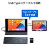 DP-02 / モバイルモニター(15.6インチ・フルHD・IPS光沢液晶・USB Type-C/HDMI接続・タッチパネル対応・スピーカー内蔵)