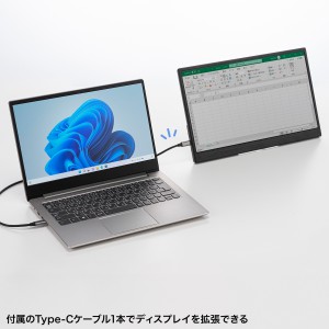 DP-06